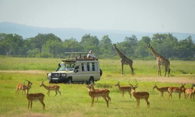 MIKUMI NATIONAL PARK
