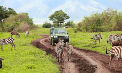 SERENGETI GAME DR. 2 HD