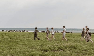 Walking-Safaris-in-Lake-Manyara-National-Park. HD2
