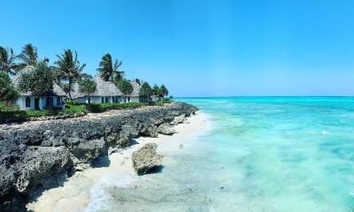 ZANZIBAR FROM - IMG